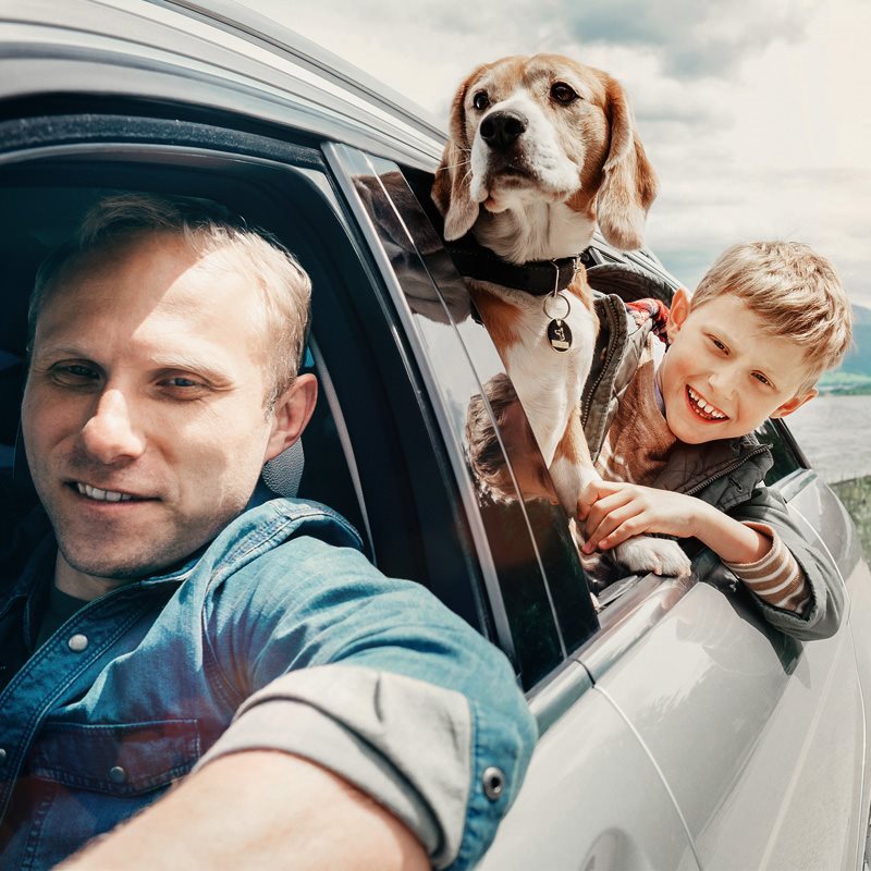 box_mobilita-viaggio