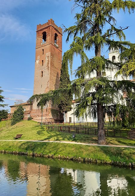 shutterstock_2271246961_CF(0)